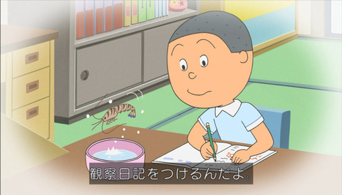 サザエさん 堀川くん海老「日本一の観察日記」画像