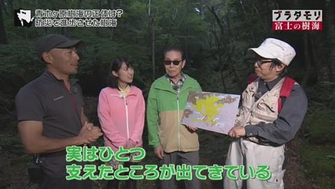 ブラタモリ 富士の樹海(青木ヶ原樹海 )(2517)
