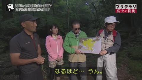 ブラタモリ 富士の樹海(青木ヶ原樹海 )(2569)