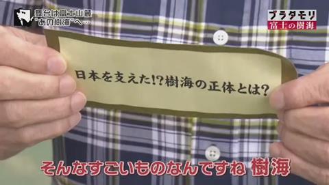 ブラタモリ 富士の樹海(青木ヶ原樹海 )(159)