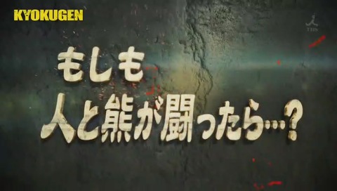 人間が熊と戦ったら