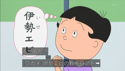 サザエさん 堀川くん海老「日本一の観察日記」画像