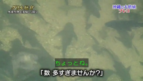 静岡大学 保全生態学 加藤英明 講師
