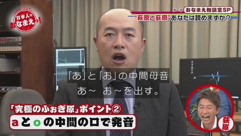 フォギ原