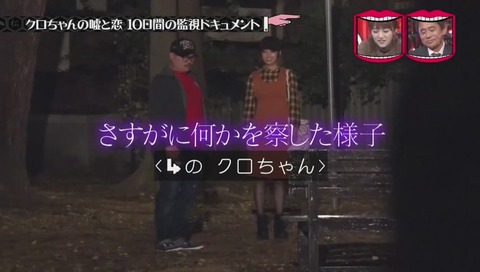 警戒するクロちゃん