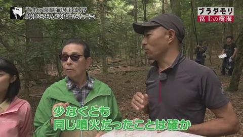 ブラタモリ 富士の樹海(青木ヶ原樹海 )(1491)