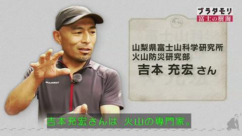 ブラタモリ 富士の樹海(青木ヶ原樹海 )(233)