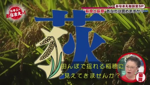 萩 荻
