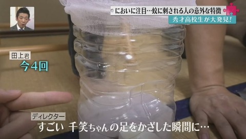 なぜか妹のほうだと蚊が何度も交尾する