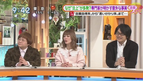 炎上参加者 インターネットユーザのうち 0.5%