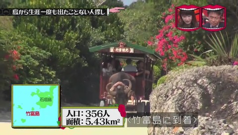 水曜日のダウンタウン 竹富島