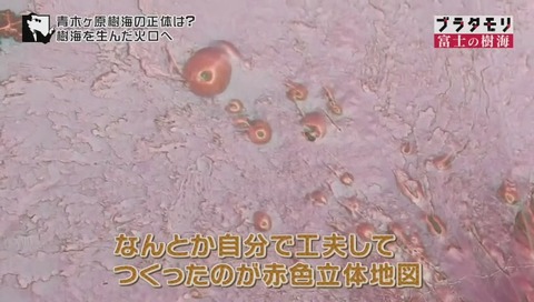 ブラタモリ 富士の樹海(青木ヶ原樹海 )(1820)