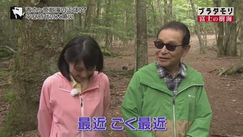 ブラタモリ 富士の樹海(青木ヶ原樹海 )(1574)