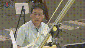 成功 動画