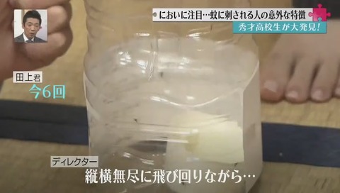 なぜか妹のほうだと蚊が何度も交尾する