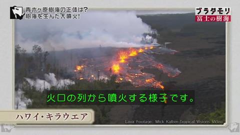 ブラタモリ キラウェア