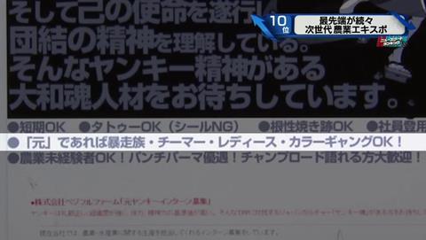 新・情報7days 元ヤンキー 農家 (3)