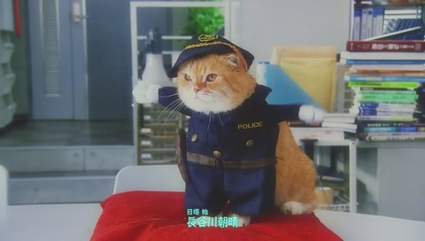 ドラマ『警視庁いきもの係』最終回 画像