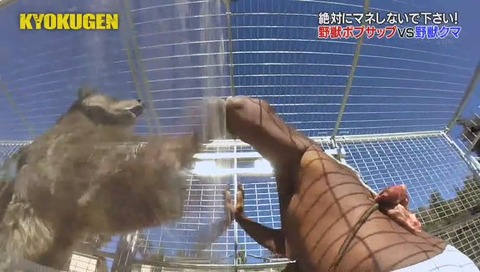 KYOKUGEN ボブ・サップ vs 熊