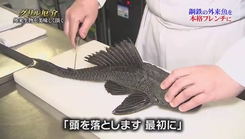 鉄腕ダッシュ グリル厄介