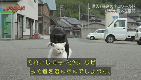 ダーウィンが来た