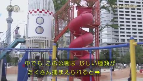 NHKドキュメント72 ポケモンGO 錦糸公園 (1969)