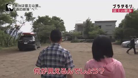 ブラタモリ 富士の樹海(青木ヶ原樹海 )(31)