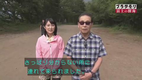 ブラタモリ 富士の樹海(青木ヶ原樹海 )(21)