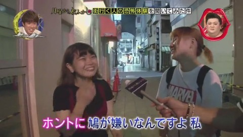 鳩が嫌いな女性 インタビュー