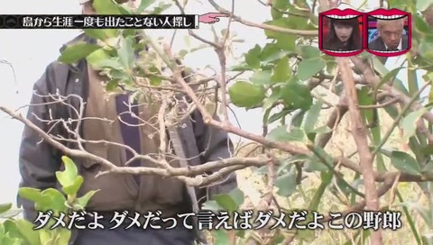 青ヶ島 仙人