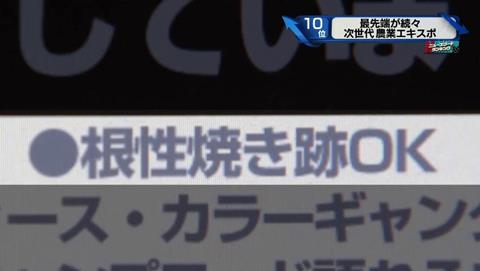 新・情報7days 元ヤンキー 農家 (4)