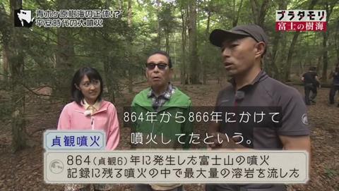 ブラタモリ 富士の樹海(青木ヶ原樹海 )(1498)