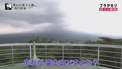 ブラタモリ 富士の樹海(青木ヶ原樹海 )(60)