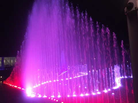 4A9D861D-7716-41C1-B4A1-882261D8B7A4
