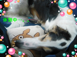 BlogPaint