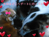 BlogPaint