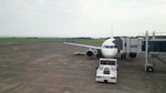 773713c8.jpg