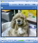 d7d0e505.jpg