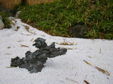 1095f4b5.jpg