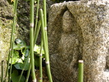 136f316a.jpg