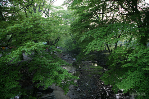 선운사