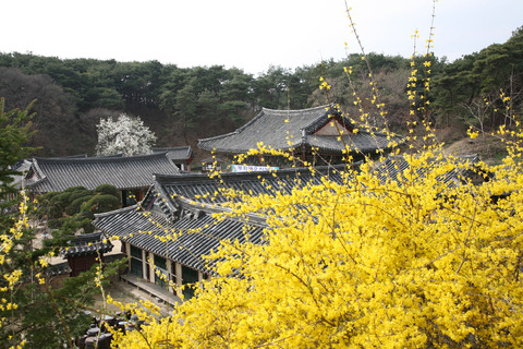 여주 신륵사