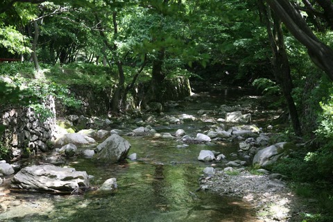 계룡산 1