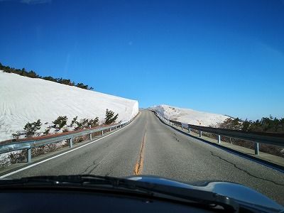 IMG_20190429_080502