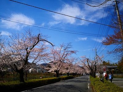 IMG_20190405_133421
