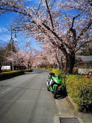 IMG_20190405_133559