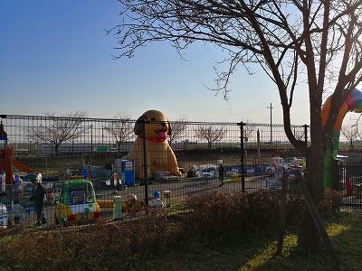 IMG_20180317_161201