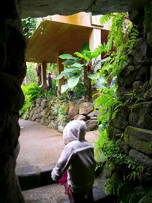 IMG_20180225_131433
