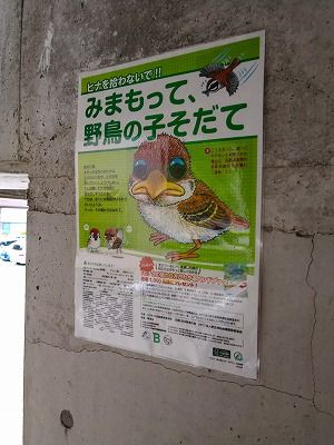 IMG_20180630_124019