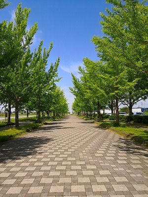 IMG_20180430_103910